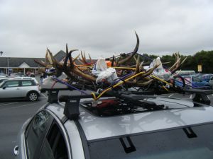 picture of chandelier on roof rack - click for larger image. Opens in new tab